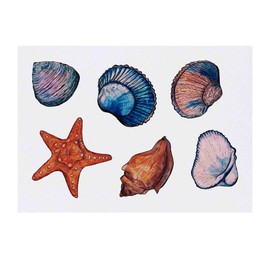 Azeeda 'Muscheln & Seesterne' Temporäres Tattoo - Hautfreundlicher & Ungiftiger Abziehbild · Wasserfest (TO00031174)