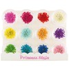 Dried Flower Lace Pressed Flowers 60 Pieces Resin Art or
