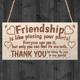 Friendship Sign Best Friend Plaque Gift Shabby Chic Heart & Thank You - READ ME
