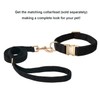Petiry Soft Dog Lead Medium with Gold Metal Clasp for