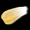 Holika Holika Prime Youth 24K Gold Repair Cream EX 55ml