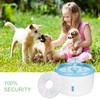 ISIYINER Trinkbrunnen Filters Katzen Hunde Cat Fountain Filter mit Harz