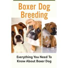 Boxer Dog Breeding: Everything You Need To Know About Boxer Dog
