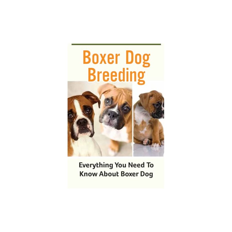 Boxer Dog Breeding: Everything You Need To Know About Boxer