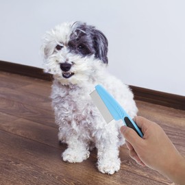 UKCOCO Lice Comb Comb Stainless Steel Dandruff Comb for Scalp Hair Comb Men Metal Comb for Men Dandruff Remover Comb Dandruff Remover Tool Thin Comb Dandruff Removal Scalp Brush with Metal Pick 2pcs