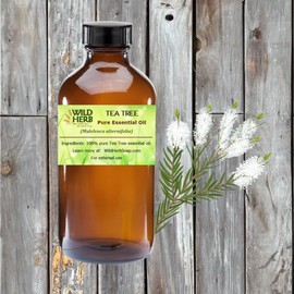 Wild Herb Tea Tree Pure Essentail Oil (2 OZ)
