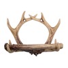 Antler Toilet Paper Holder, Wall Mounted Bathroom Decoration, Rustic Cabin