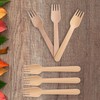 GoCoPack Wooden Cutlery: Pack of 200 Disposable Wooden 16cm Forks