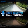 NOVSIGHT H11 H8 H16 LED Fog Light Bulbs - 500%