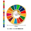 Gooing SDGs UNDP Pin Badge Badge