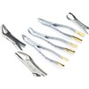 Premium Gold German Dental EXTRACTING Extraction Forceps # 150+151+23+88L+88R-Most Famous