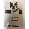american greetings Puppy In A File Congratulatory
