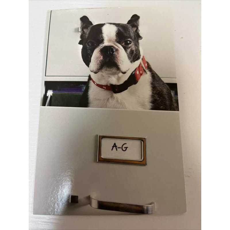 american greetings Puppy In A File Congratulatory