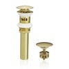 VOTON Brushed Gold Pop Up Bathroom Sink Drain with Overflow