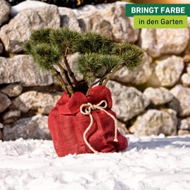 Windhager Jute Sack Eco Jute Bag, Fabric Bag, Potato Bag, Decorative Bag, Multifunctional Jute Bag, Winter Protection for Potted & Pot Plants, Red, 70 x 100 cm, 06070