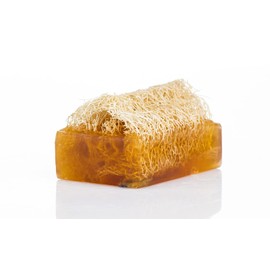 SABUN CO. Coconut Oil Loofah Soap - Natural Exfoliating Soap Bar for Face & Body Scrub - Moisturizing Soap for Softer Skin - Handmade with Coconut Oil, Jojoba Oil, Witch Hazel [4.40 oz - 125 gr]