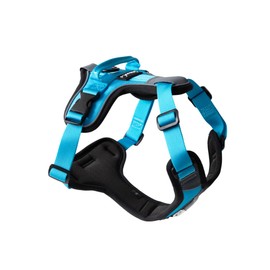 ShawnCo Basecamp Dog Harness, No-Pull Pet Vest with 3 Leash Clips, Padded, Reflective, Lightweight and Adjustable Harness with Handle for Small, Medium and Large Dogs (Oceanic Blue, M)