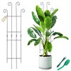 32.6In Plant Trellis for Climbing Plants | 2 Pack Monstera