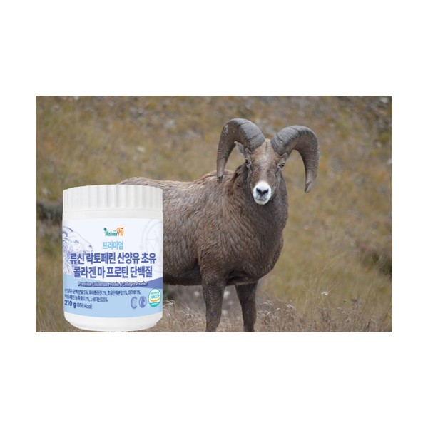 [On Sale] Natural High Calcium Goat Goat Milk Protein Colostrum Protein Leucine Lactoferrin Protein 210g, 1 container (2-3 week supply) / [온세일]네츄럴 고칼슘 산양 산양유 단백질 초유 단백질 류신 락토페린 프로틴 210g, 1통（2~3주 분량）