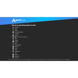 64GB - 20-in-1, Bootable USB Drive 3.2 for Linux & Windows 11, Zorin | Mint | Kali | Ubuntu | Tails | Debian, Supported UEFI and Legacy