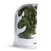 Il Pregio Fresh Herb Keeper and Storage Container - Premium