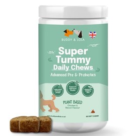 Buddy & Lola Probiotics For Dogs - Daily Dog Probiotic Chews For Digestive Health - Beneficial Prebiotics, Probiotics & Fibre For Better Gut, Firm Stools, Less itching - Plant Based Chews For Dogs
