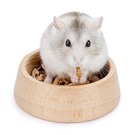 Niteangel Wooden Hamster Feeding Bowl - Small Animal Food Dish for Dwarf Syrian Hamsters Gerbils Mice Degus or Other Similar-Sized Small Pets (Hammy Pattern, for Dwarf)