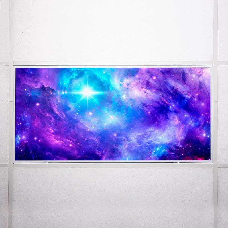 Octo Lights Fluorescent Light Decorative Covers for Classroom Ceiling Lights-2x4