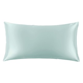 THXSILK 100% Mulberry Silk Pillowcase for Hair and Skin, 22 Momme Grade 6A+ Mulberry Silk Pillow Case, Natural Silk Pillow Case Cover with Zipper, 1pc(California King Size 20"x40", Light Blue)