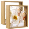 2 Pack 8 x 8 Pressed Flower Frame Clear Frame