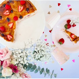 Pink Large Paper Plates (Set of 8) | Pink Dinner Plates Tableware |Pastel Pink Striped Party Plates |Pastel Plates |Baby shower valentines day plates |Flamingo Princess Ballerina Party Plates Supplies