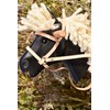 Rülke Holzspielzeug 50015 Accessory Horse Natural