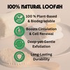 Birdee 100% Plant-Based Loofah Body Wash Sponge - Natural Luffa