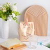 Bakecat Windproof Clothes Pegs, 60Pcs Plastic Clothes Pegs for Washing