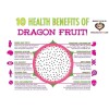 Cactus 50 Red Dragon Fruit Seeds Pitaya Pitahaya Hylocereus Undatus