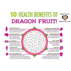 Cactus 50 Red Dragon Fruit Seeds Pitaya Pitahaya Hylocereus Undatus Cactus Grow Rare