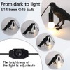 OVANUS Crow Lamp - Raven Lamp Adjustable Brightness with Bulb，Bird