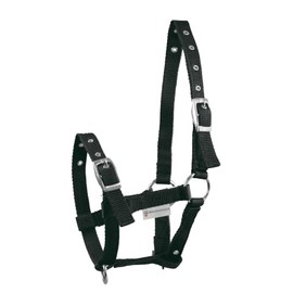 Fohlenhalfter Triple, schwarz