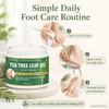 Tea Tree Foot Cream for Dry Rough Feet, Moisturizing Heel