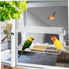 CORHAD Clear Window Bird Feeder with Suction Grip Outdoor Feeding