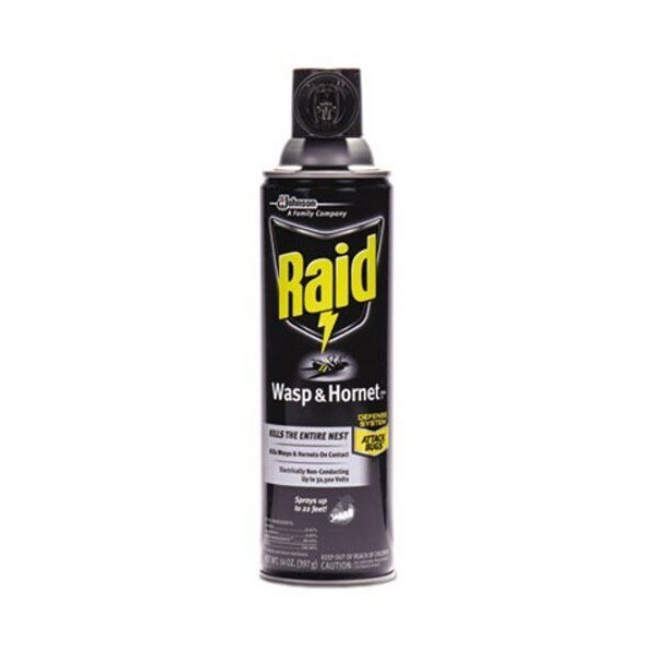 Raid Wasp & Hornet Killer, 14 oz Aerosol Spray, Each (SJN668006EA)