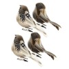STOBOK Pack of 4 Artificial Birds with Feather and Clips