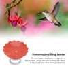 Handheld Hummingbird Feeder, Hand Held Get Up Close Bright Creative