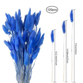 VirtuGro 120pcs Dried Bunny Tails Flowers Blue Rabbit Tail Grass Lagurus Ovatus Dried Grass Bouquet for Home Wedding Party Table DIY Dry Floral Arrangement Decor (17")
