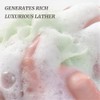 Esponjas Lufa Ducha Paquete Unidades Toda Familia Colores Neutros Negras
