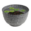Stumpet Kuromikage Small Bowl of Medaka