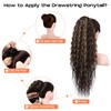 SEIKEA Highlight Drawstring Ponytail Extension, PT005 Isabella 26" Long Bohemia