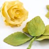 DECORA KIT 7 Cutters Rosen-Set, Plastik, violett, 8.5 x 8.5