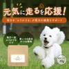 Orlando Dog Glucosamine 30g Joint Supplement Powder Joint Care Supplement
