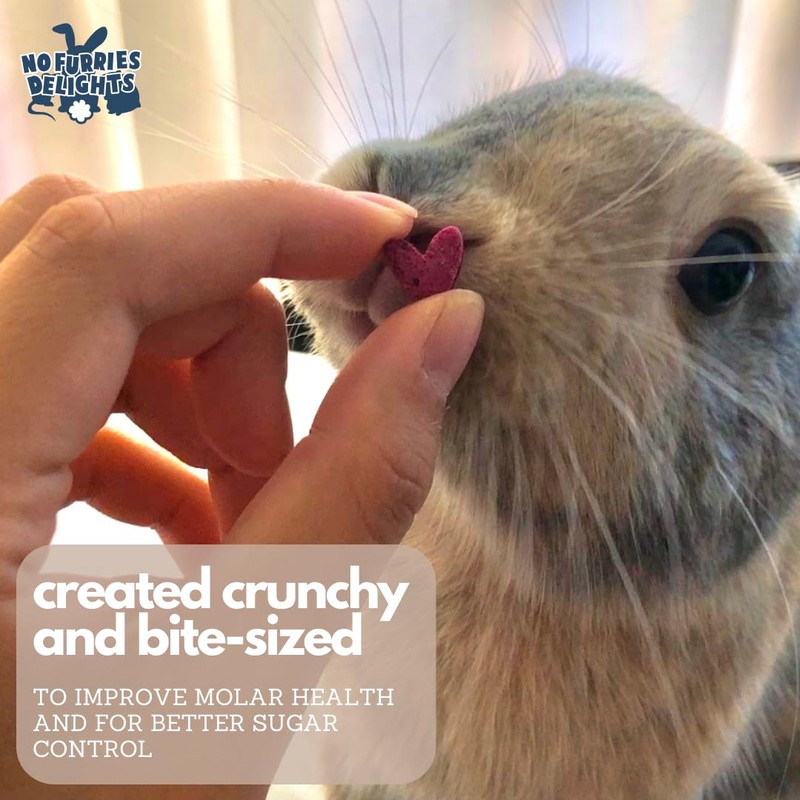 No Furries Delights 100% Organic & All Natural Treat for